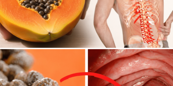 What Happens to Your Body When You Start Eating Papaya Seeds Every Day?