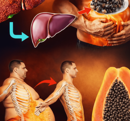 How Papaya Seeds May Provide Gentle Natural Support for Digestion and Daily Wellness