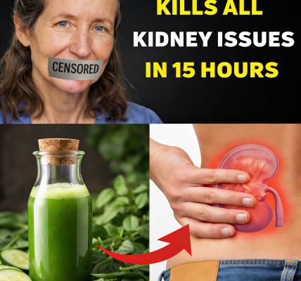 Discover 7 Everyday Drinks That May Help Support Your Kidney Health and Hydration