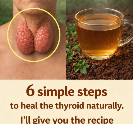 Discover 6 Simple Steps to Support Thyroid Health Naturally and Feel More Energized Daily