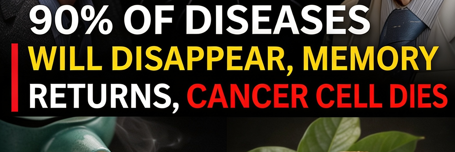 Discover the Everyday Eating Habits of Japanese Centenarians That May Support Greater Longevity and Vitality