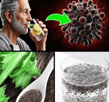 CANCER is Afraid of These Products! TOP 16 ANTICANCER Foods