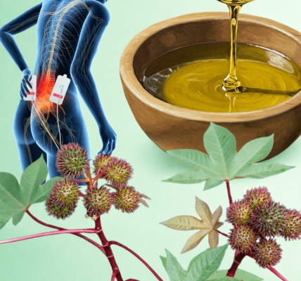 Discover 7 Surprising Ways Castor Leaves May Support Natural Wellness and Simple Home Remedies to Try