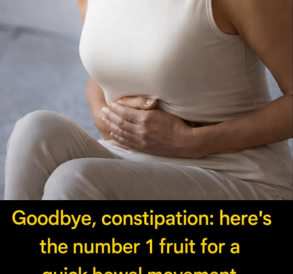 Prunes: the natural food that helps maintain balanced intestinal transit