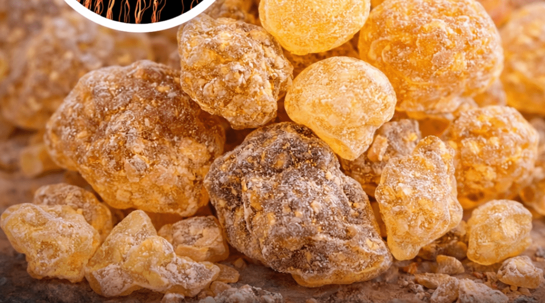 Could Frankincense Offer Mood Support? Exploring Research on Its Potential Benefits and Uses Could Frankincense Offer Mood Support? Exploring Research on Its Potential Benefits and Uses