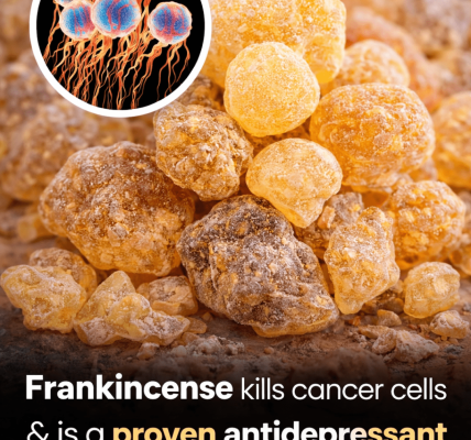 Could Frankincense Offer Mood Support? Exploring Research on Its Potential Benefits and Uses