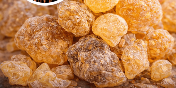 Could Frankincense Offer Mood Support? Exploring Research on Its Potential Benefits and Uses
