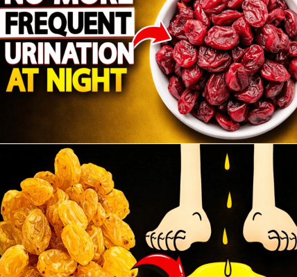 Over 60? These 3 Dry Fruits Before Bed May Help Calm Nighttime Urination and Promote Deeper Sleep