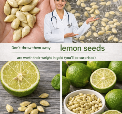Why You Should Stop Throwing Away Lemon Seeds: Discover Their Hidden Natural Benefits and Simple Uses