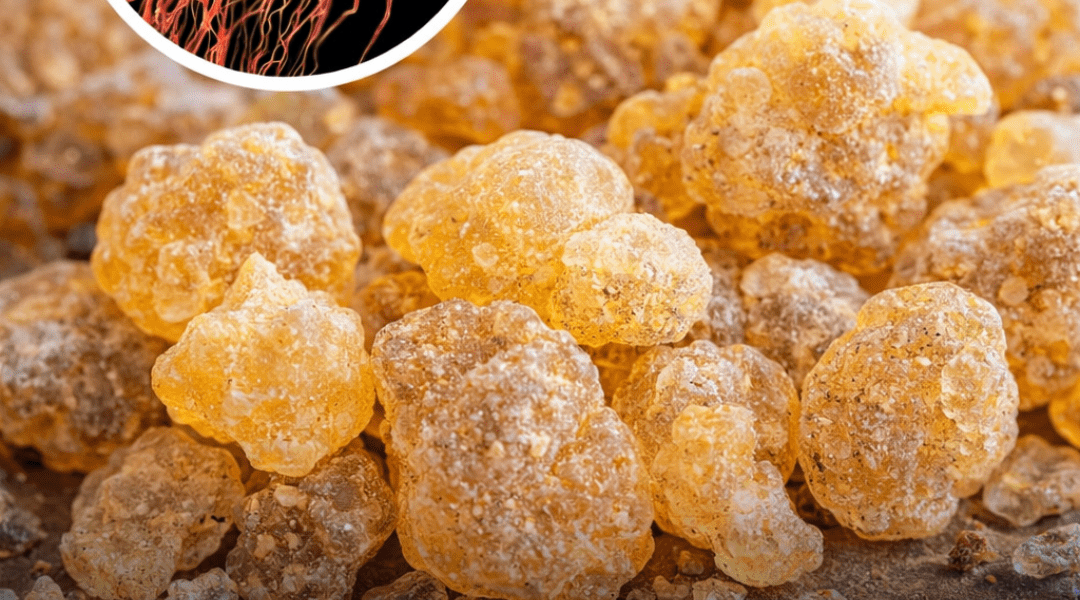 Frankincense fights cancer and is a proven antidepressant without any side effects Frankincense fights cancer and is a proven antidepressant without any side effects
