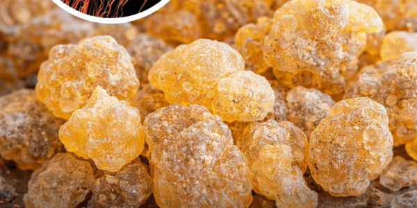 Frankincense fights cancer and is a proven antidepressant without any side effects