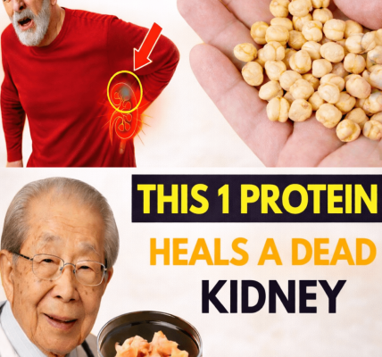 Seniors: 6 Proteins to Avoid If You Have Kidney Issues (and 4 Safer Alternatives)
