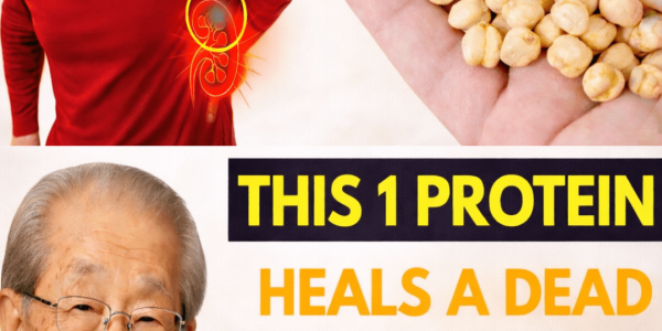 Seniors: 6 Proteins to Avoid If You Have Kidney Issues (and 4 Safer Alternatives) Seniors: 6 Proteins to Avoid If You Have Kidney Issues (and 4 Safer Alternatives)